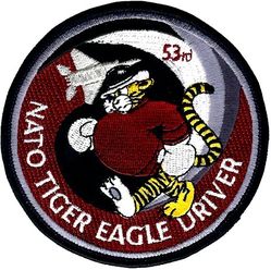 53d Fighter Squadron F-15 Pilot
Unit commander version with silver F-15.
