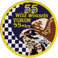 55th Fighter Squadron F-16 Wild Weasel 55+ Hours Swirl
