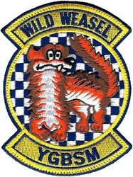 55th Fighter Squadron F-16 Wild Weasel
