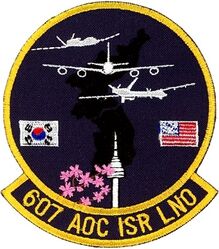 607th Air Operations Center Intelligence, Surveillance and Reconnaissance Liaison Officer 
