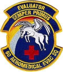 60th Aeromedical Evacuation Squadron Evaluator
