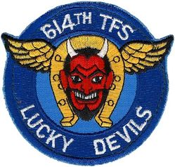 614th Tactical Fighter Squadron 
Last patch used before inactivation. Smaller, computer stitched.
