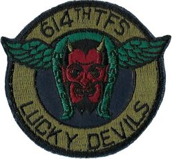 614th Tactical Fighter Squadron
Keywords: subdued