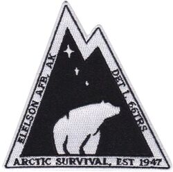 66th Training Squadron Detachment 1

