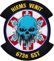 673d Surgical Operations Squadron Ground Surgical Team
