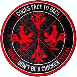 67th Fighter Squadron Morale
