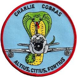 6949th Electronic Security Squadron C Flight
