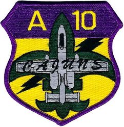 706th Fighter Squadron A-10 Hawgsmoke 2004 
