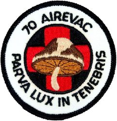70th Aeromedical Evacuation Squadron
