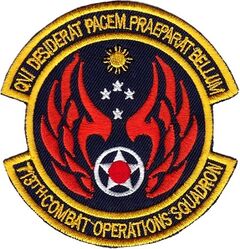 713th Combat Operations Squadron
