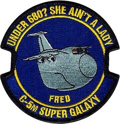 733d Training Squadron C-5M Morale
The 733rd TRS provides all student administrative and managerial oversight to operate the only C-5 formal schoolhouse in the U.S. Air Force Reserve.
