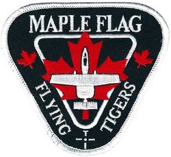 74th Fighter Squadron Exercise MAPLE FLAG 2001
