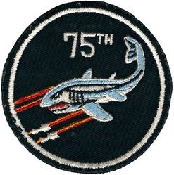 75th Fighter-Interceptor Squadron 
