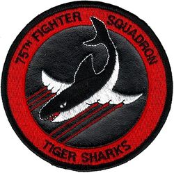 75th Fighter Squadron
Sewn into leather.
