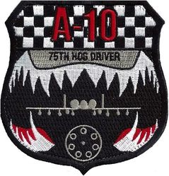 75th Fighter Squadron A-10 Pilot

