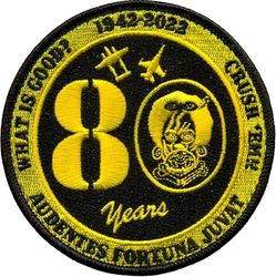 80th Fighter Squadron 80th Anniversary
