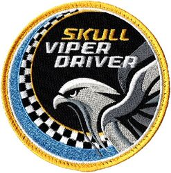 85th Test and Evaluation Squadron F-16 Pilot Swirl
