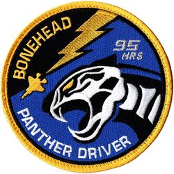 95th Fighter Squadron F-35 Pilot 95 Hours
