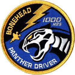 95th Fighter Squadron F-35 Pilot 1000 Hours
