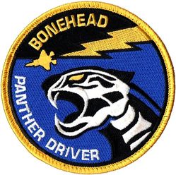 95th Fighter Squadron F-35 Pilot
