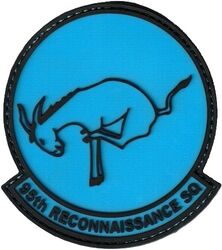 95th Reconnaissance Squadron
Keywords: PVC
