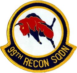 99th Reconnaissance Squadron
