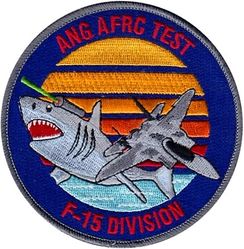 Air National Guard/Air Force Reserve Test Center F-15 Division
