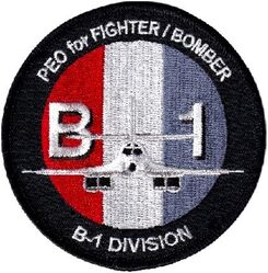 Air Force Life Cycle Management Center Program Executive Officer B-1 Division
