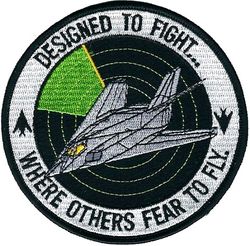 417th Weapons Squadron F-117A
From unit 2004.
