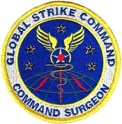 Air Force Global Strike Command Command Surgeon
