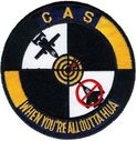 25fs_a10_cas.jpg