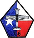 39fts_t-6.jpg