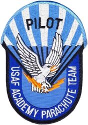 United States Air Force Academy Parachute Team Pilot
