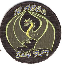 12th Airborne Command and Control Squadron Easy Flight
