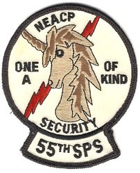 55th Security Police Squadron
