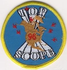 North American Aerospace Defense Command Top Scope Award 1996
