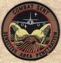 343_RS_Combat_Sent_SAP.jpg