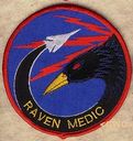 429_ECS_Raven_Medic.jpg