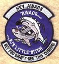 55_WG_Hey_AWACS.jpg