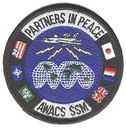 AWACS_SSM.jpg