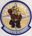 NATO_AWACS_Hawkeye_Element.jpg