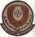 NATO_E-3A_Component_HQ_M-E-S.jpg