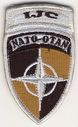 NATO_IJC.jpg