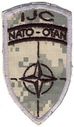NATO_OTAN_IJC_28multicam29.jpg