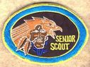 Senior_Scout_28V129.jpg