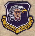 Senior_Scout_28V229.jpg