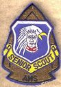 Senior_Scout_AMS.jpg