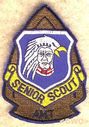 Senior_Scout_AMT.jpg