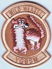 480th Fighter Squadron Wild Weasel Morale
Keywords: desert