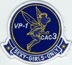 Patrol Squadron 1 (VP-1) CAC 3 
VP-1 "Screaming Eagles"
Established as VB-128 on 15 Feb 1943.
Redesignated VPB-128 on 1 Oct 1944; VP-128 on 15 May 1946; VP-ML-1 on 15 Nov 1946; VP-1 (5th VP-1) on 1
Sep 1948.
Lockheed P-3C UIIIR Orion
